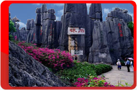 Китай, Куньмин, Каменный Лес (Shilin)